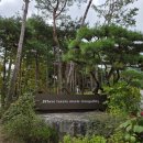 알파 사우나 | 강력추천..[안토 서울(구.파라스파라)]팀버주니어 성인 3명 잘놀다온 후기 - 수영장/자쿠지/사우나!!!!