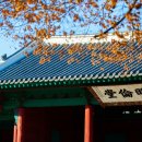 연세대학교(미래) 정경·창업대학원 | [MBA Life] 왜 난 MBA가 아니라, ‘성균관대 IMBA’였는가?