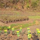 영화5길 이미지