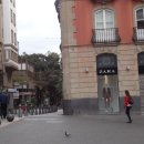 스페인 테네리페5 - 산크루즈 거리를 걸어서 공원으로! 이미지