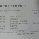 현대문집