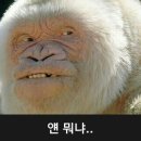 최가네버섯매운탕칼국수 이미지