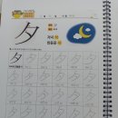 한 웅큼의 빛 이미지