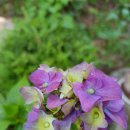 대연농원밥집 이미지