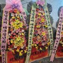 진영피앤피