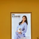 일산애견호텔 애견유치원 맘바이 일산점 | 일산 애견호텔 강아지 유치원 맘바이 일산점 만족 후기 (장기여행 가능)