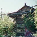 올림푸스 XA , 씨네스틸 800T 스캔후기 / 강남스타샷 필름스캔 후기