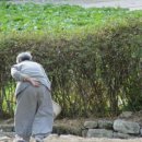 선비마을건강나라 이미지