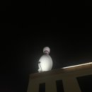 양산베스트볼링장 이미지