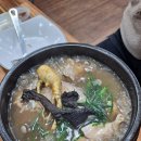 금산삼계탕 | 충남 금산 현지인 추천 맛집 고려삼계탕 능이삼계탕