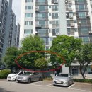 신익강변타운아파트 이미지