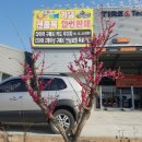 티스테이션 김해테크노밸리점 이미지