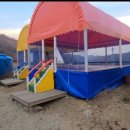 내안의숲 이미지