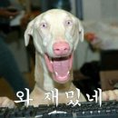 커피뚝섬 네이버블로그