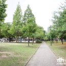수원-1128 이미지