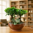 이지플라워 이미지