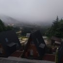 월성산림