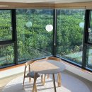 스테이하례 이미지