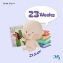 11620-19-23-3 | [임신 23주차] 서울시 엄마북돋움 수령후기 / 태아 뇌실확장증검사 세브란스대학병원 진료, 초음파검사