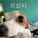이써이써 네이버블로그