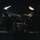 안녕정동진 이미지