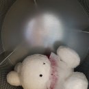 동해세탁소 이미지