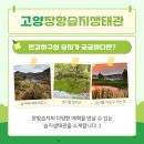 장대들길 이미지