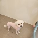 엔젤미용실 - 강서구 | 엔젤미용실