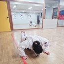 원도태권도장 이미지