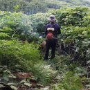 양편농장 이미지