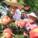 영근농장 이미지