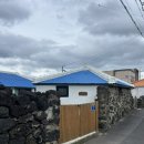 스테이 바미 이미지