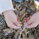 광원농장 이미지