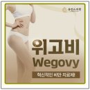 여기애가까운약국 | 위고비 후기 식욕억제가 필요한 케이스