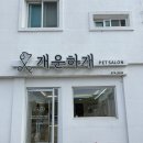 개운하개 이미지