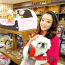 홈플러스 동수원점 수족관 이미지