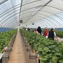 진행농장 이미지