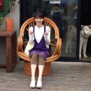 제주민박 이미지