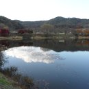 우암산순환로 이미지