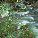 광주역4로R 이미지