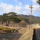 내서읍687 이미지