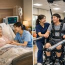 창원시뇌병변장애인부모회 | 2026년 실버케어와 장애인 요양지원 비교 총정리