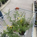 예삐마켓 이미지