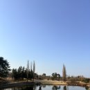 3416 | 강릉 샌드파인CC 라운딩 후기 코스 완벽 공략| 친구들과의 특별한 여행기