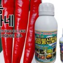 한국농약마트 이미지