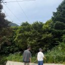 비담채 | 가평 애견동반 독채펜션 추천, 가평 담담채