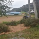 한삼농장 이미지