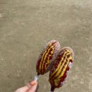 슬로우(SLOW)팬션