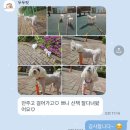 두두핏 이미지