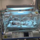 이마트24 구리한양대병원점 | [윤디데이] 신생아 황달으로 NICU 입원… 출생 5일만에 겪은 현실 후기 (구리 한양대병원)